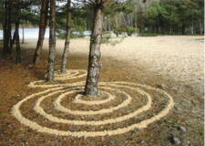 image.jpeg image.jpeg